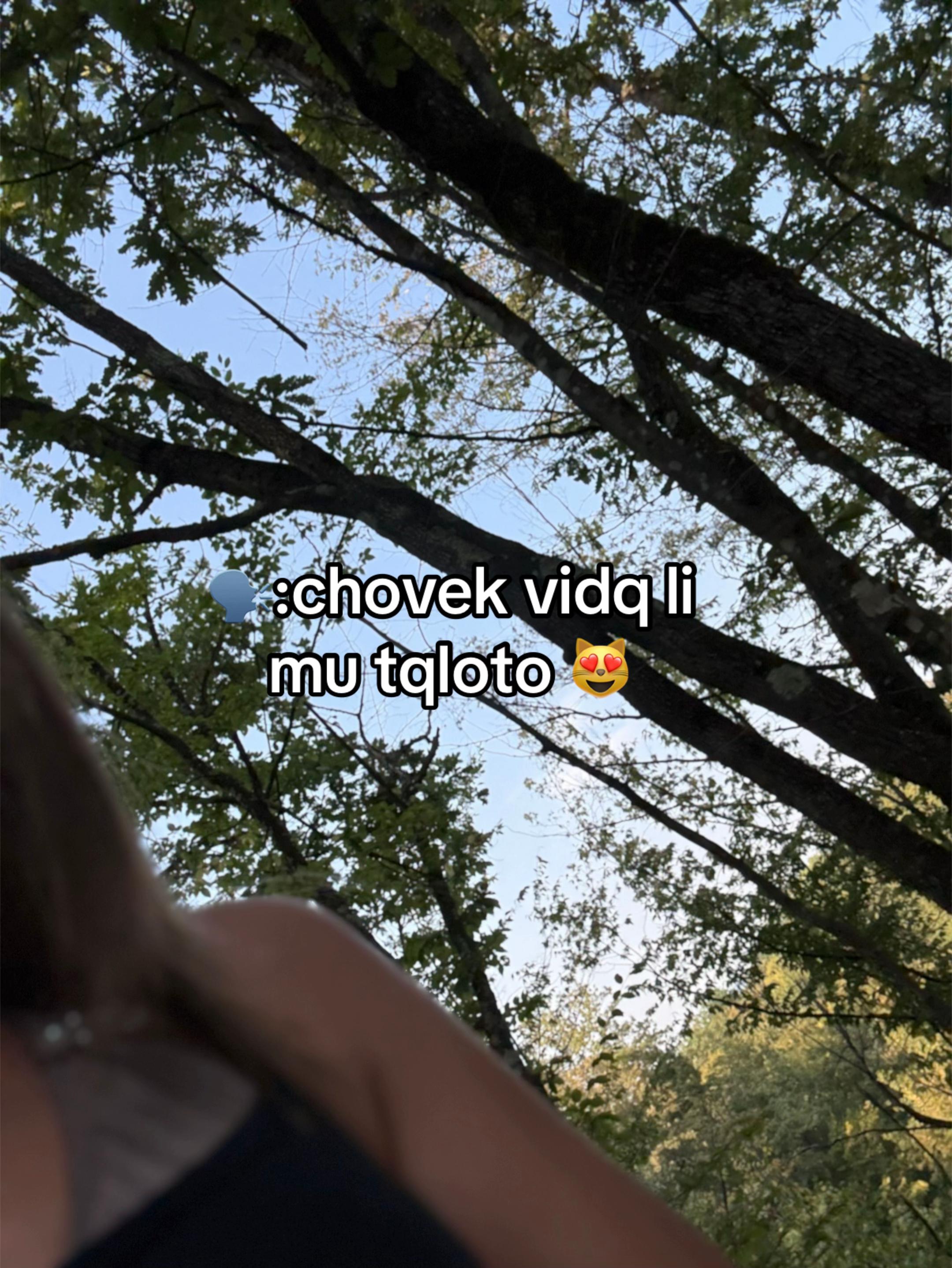 @🪼