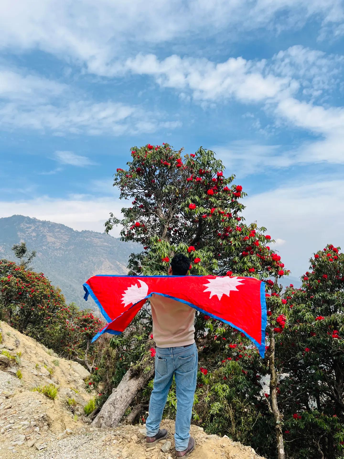 @Krishna Thapa