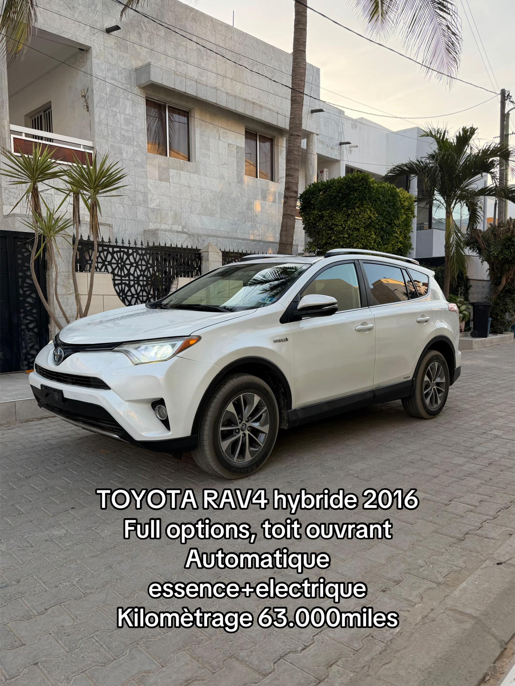 @DM Automobile