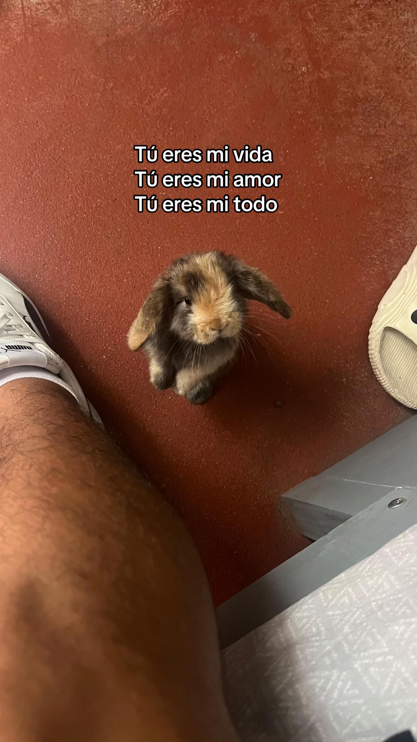 @Dragobm