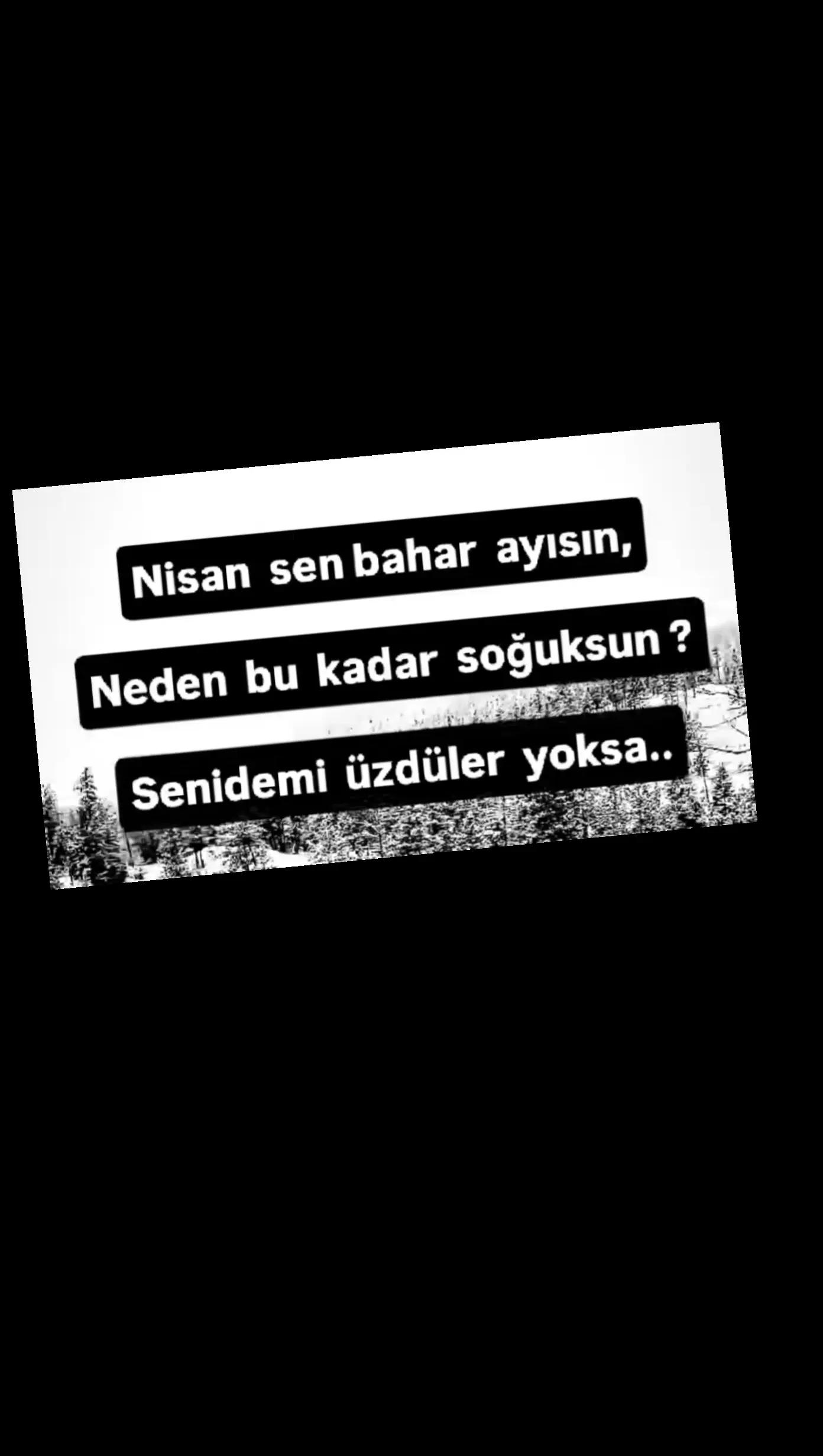 @papatya