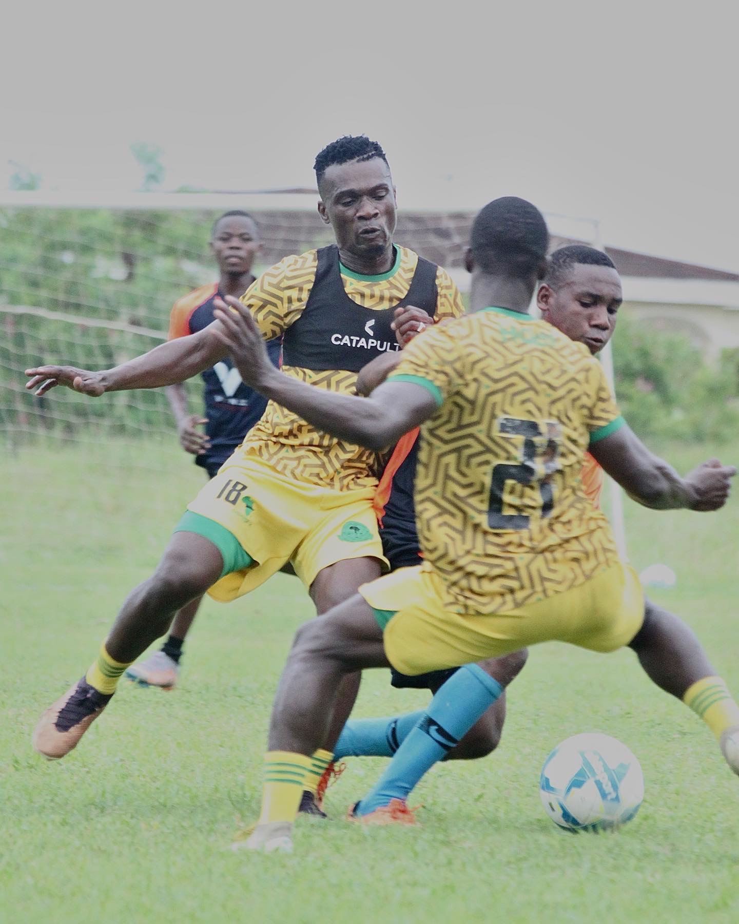 @Avocado Youth Soccer Academy