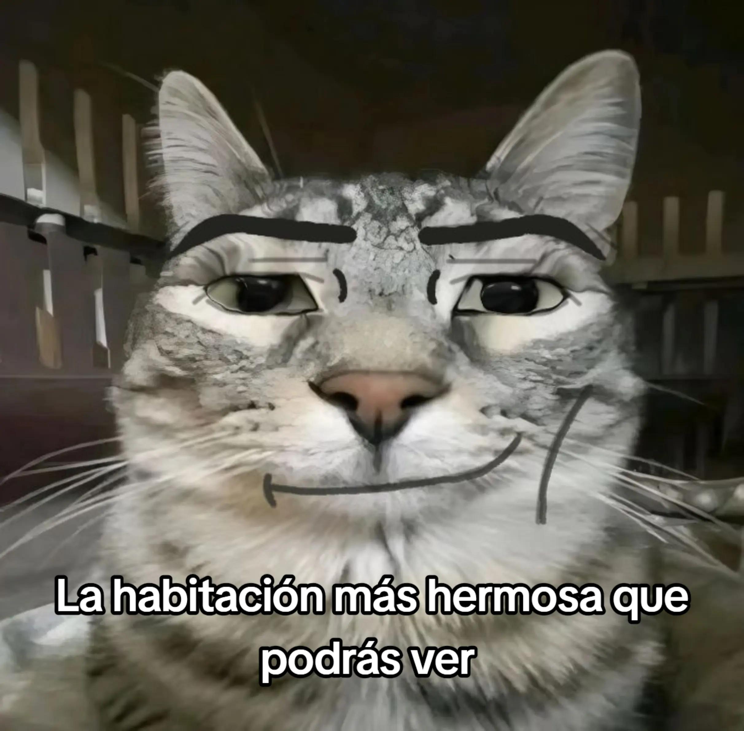 @mira mis likes ๐