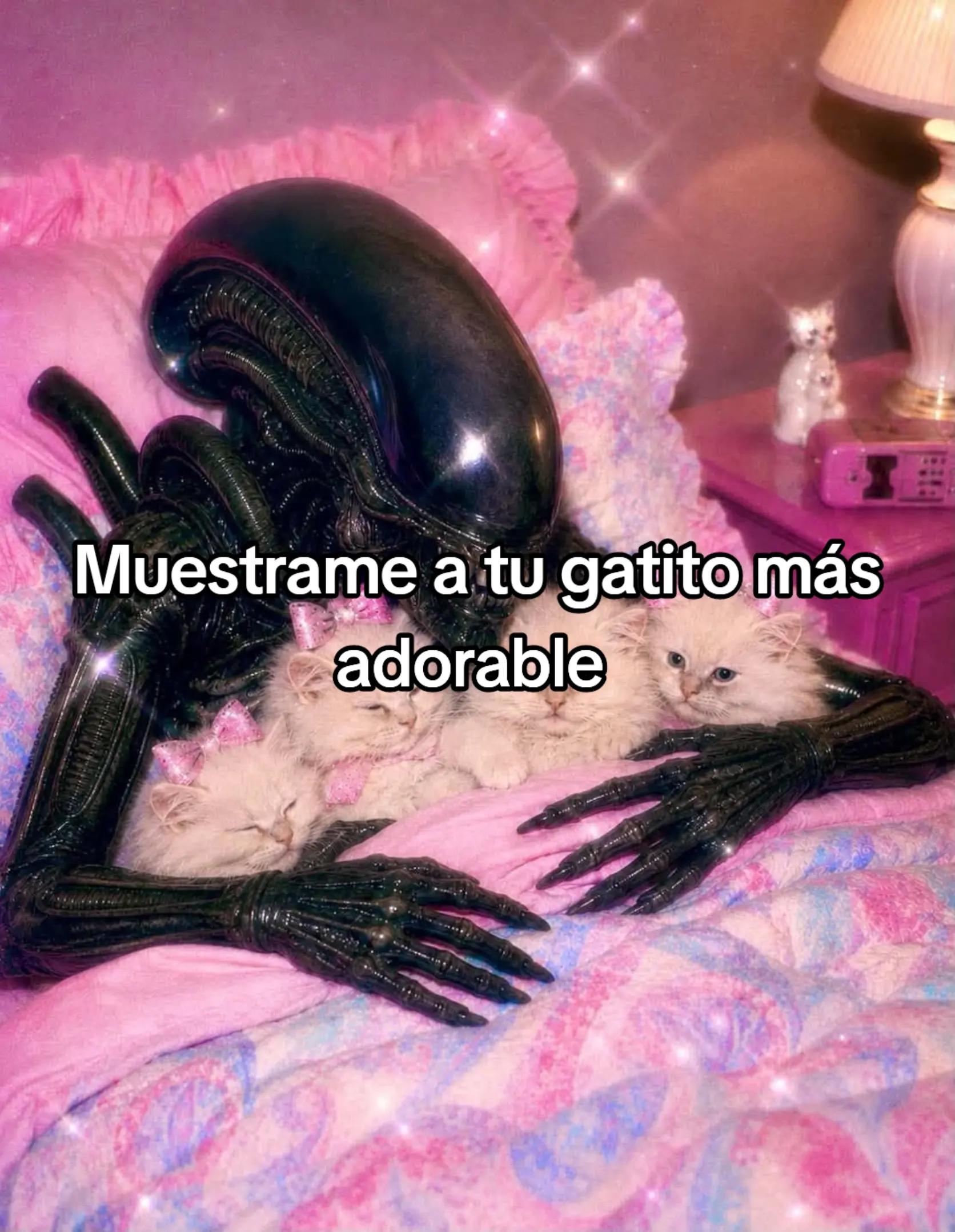 @Mahpeiker