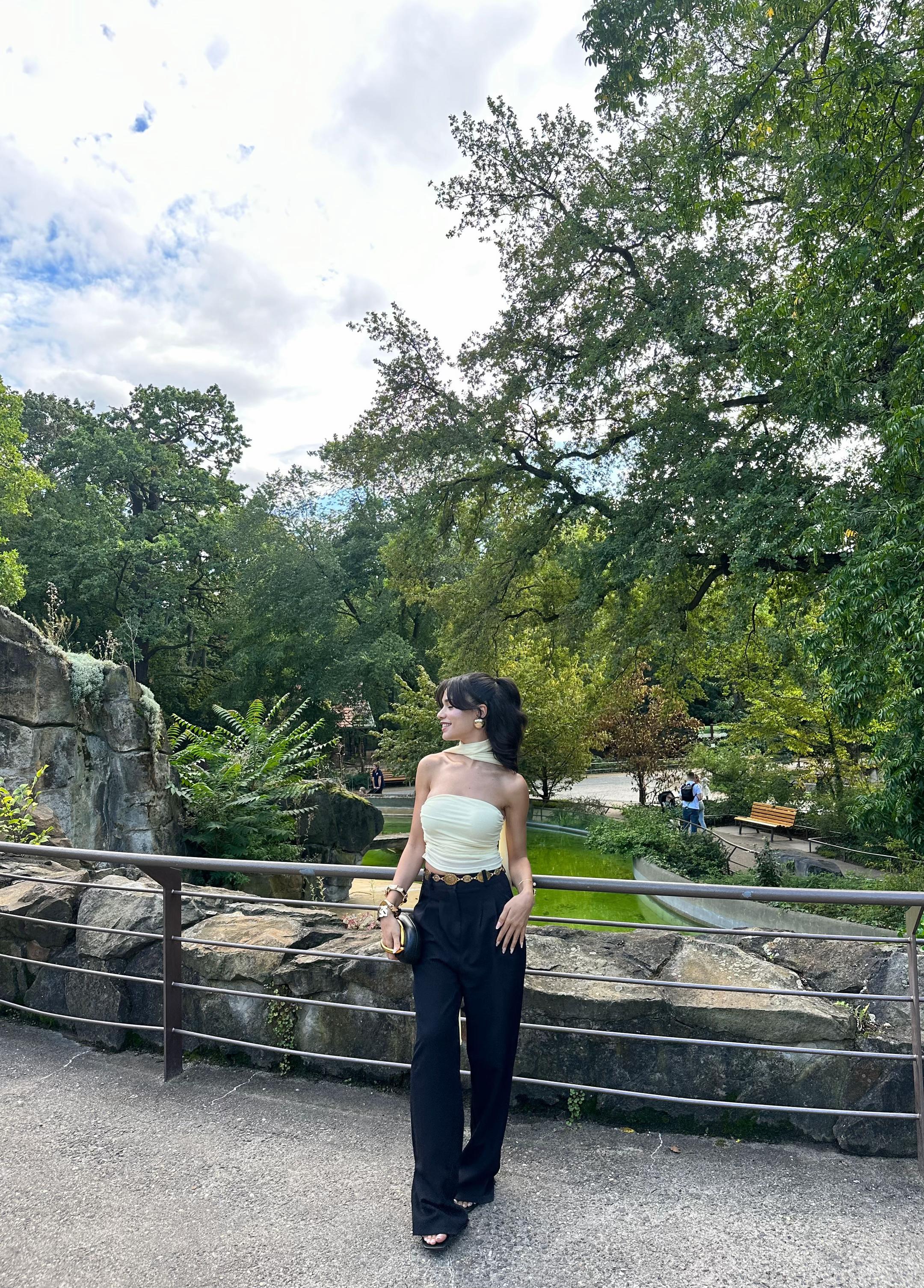 @✨