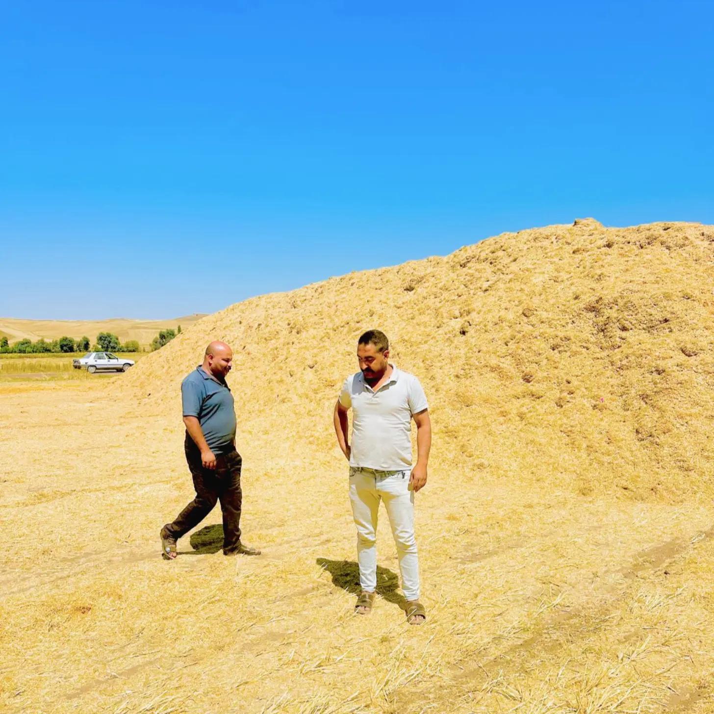 @HAMİT AKSOY