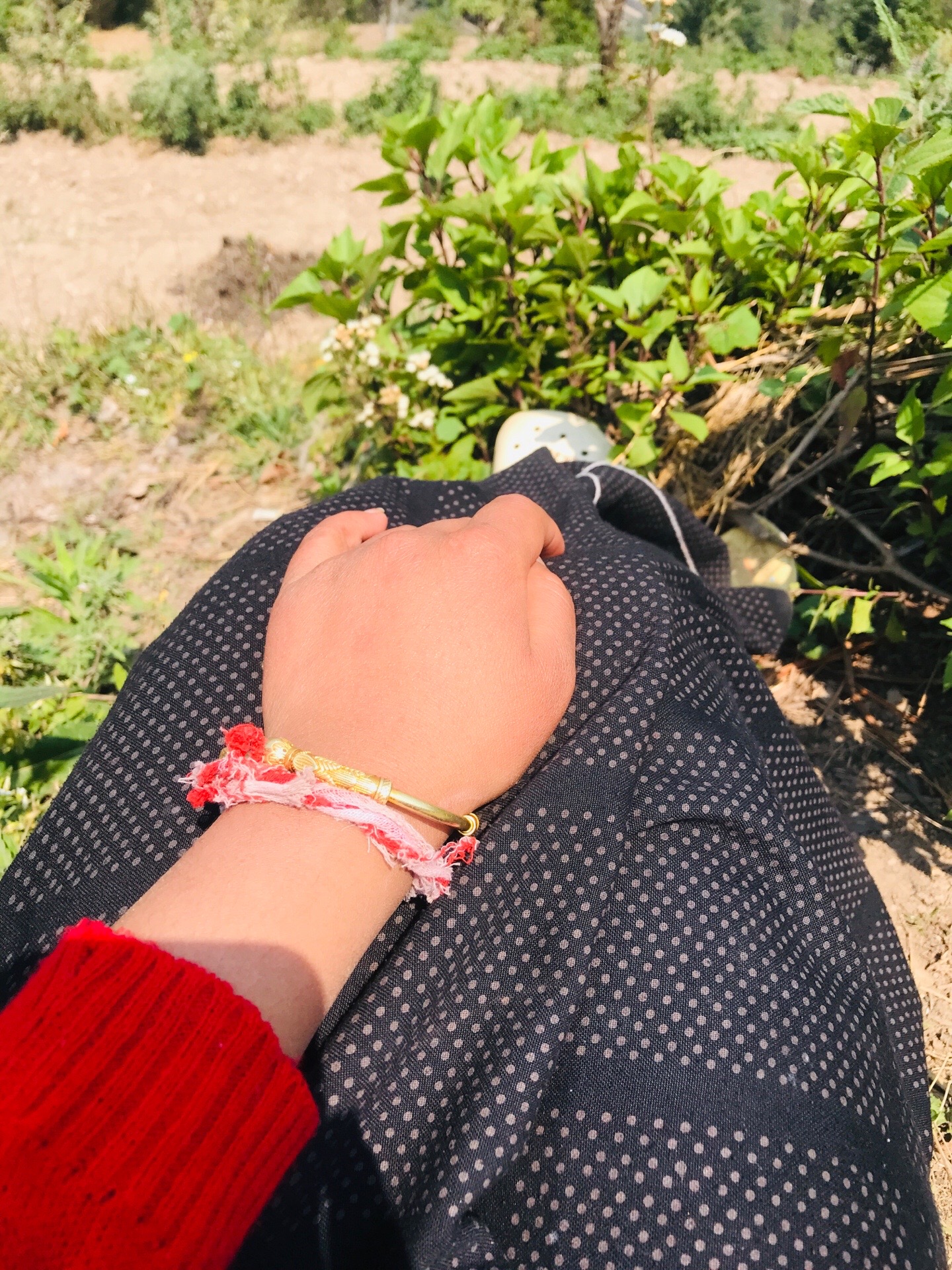 @Anu bebs💝🌷