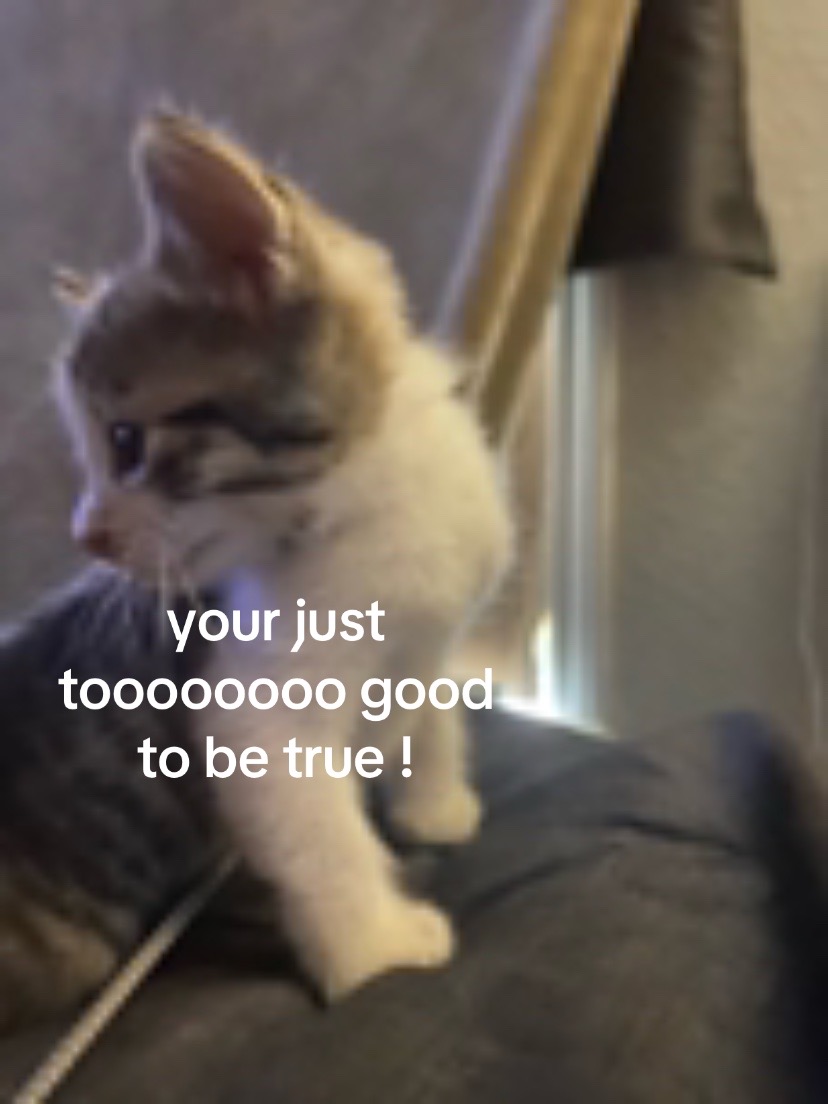 @𝘥𝘢𝘭𝘵𝘺𝘯𝘯𝘭𝘰𝘷𝘦𝘻𝘺𝘰𝘶