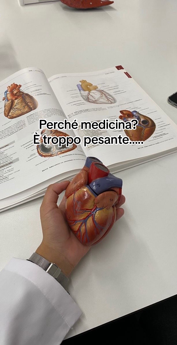 @Imen | med student 🫀❤️🩹