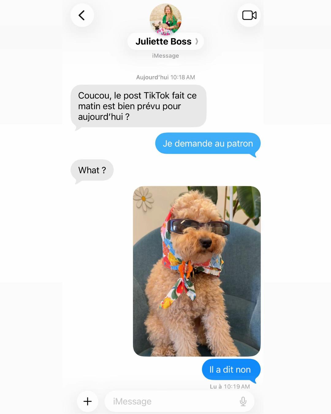 @Coucou Suzette