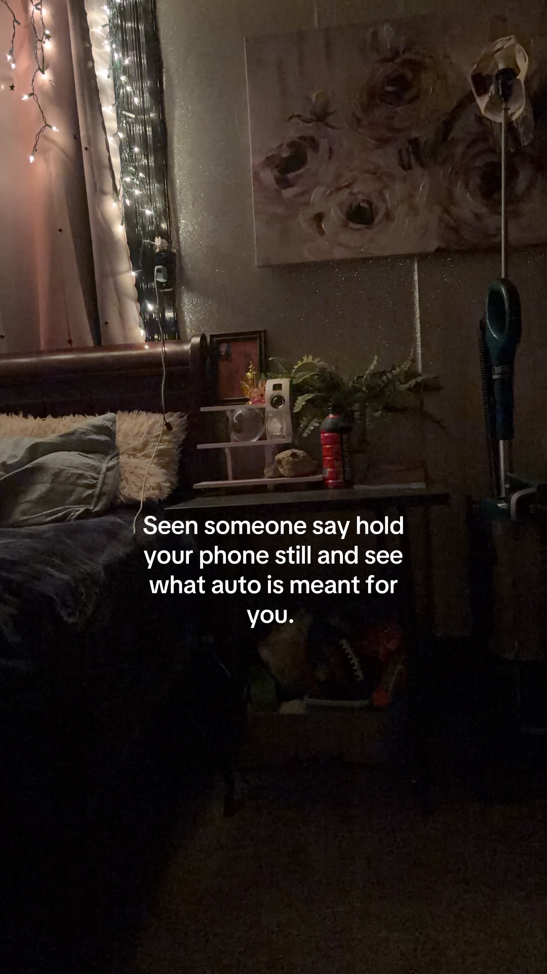 @Macie Dreisewerd