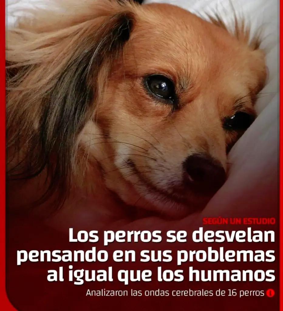 @Mozchello