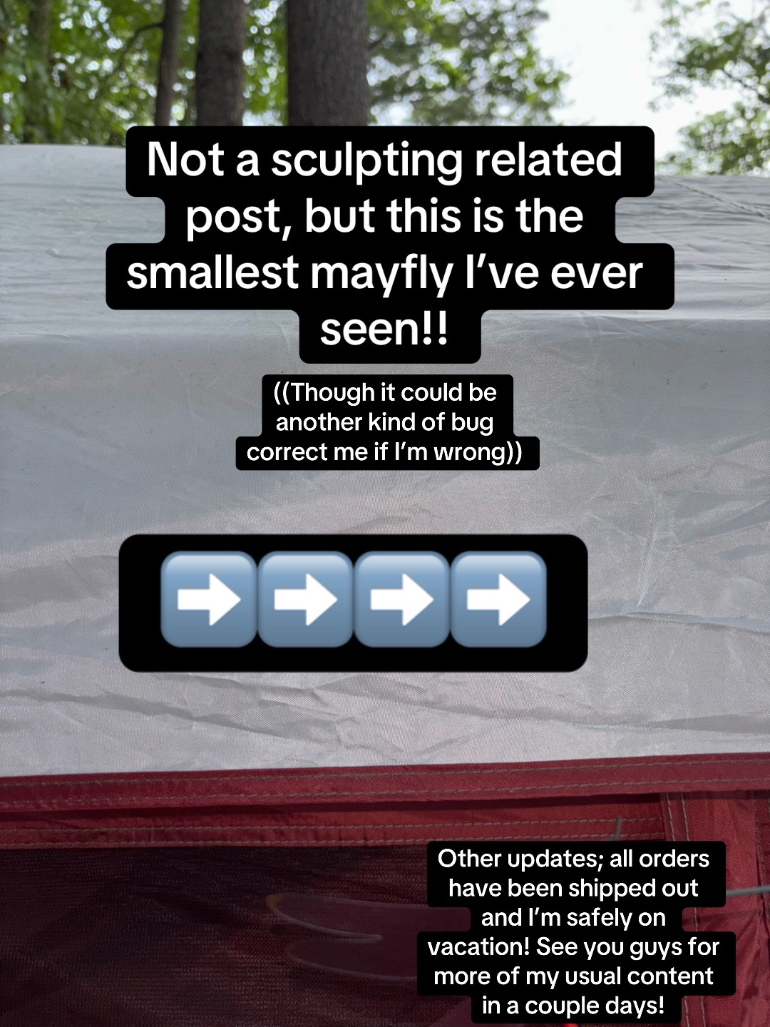 @CryptidsInYourCloset