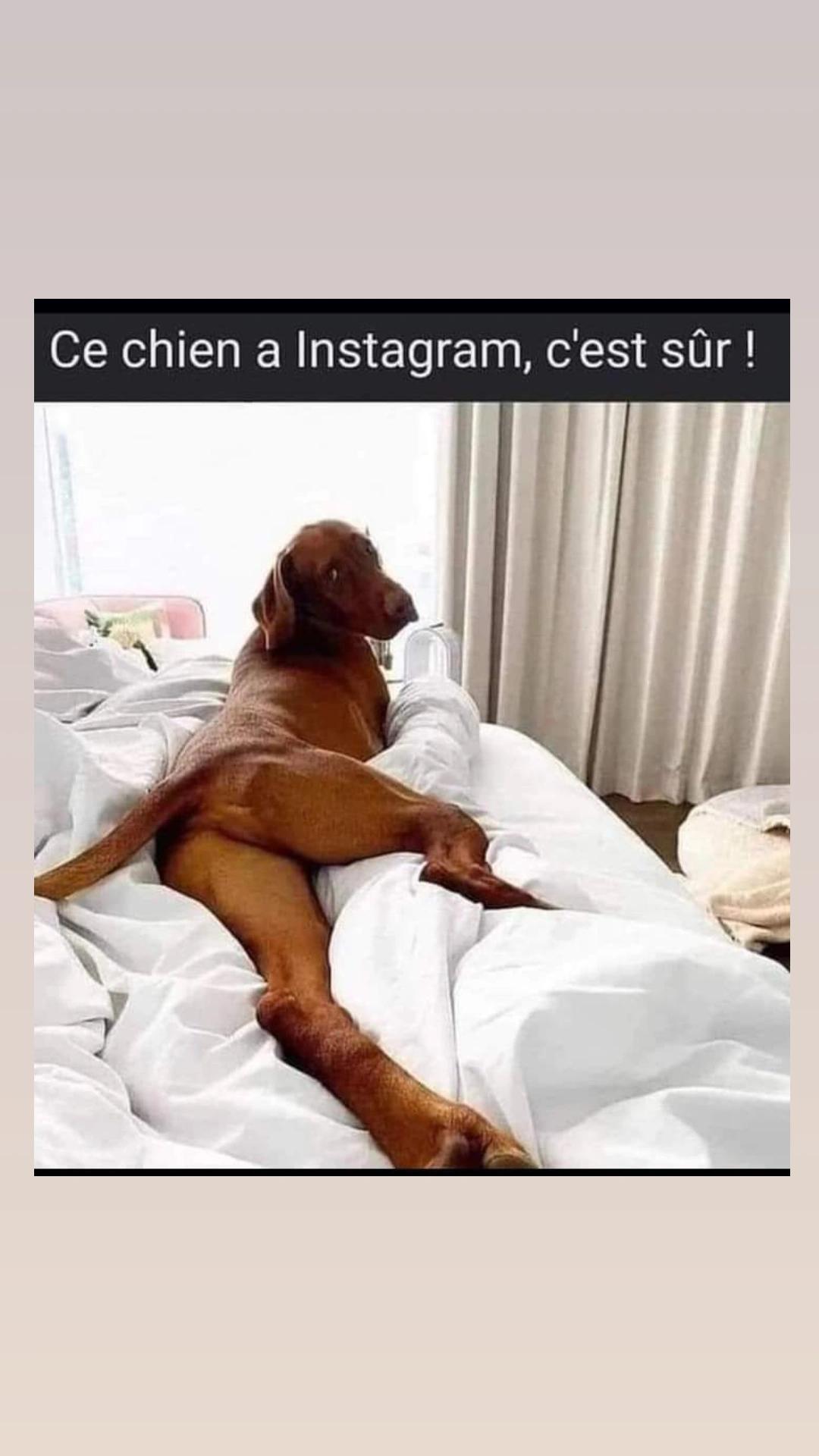 @Tom10j