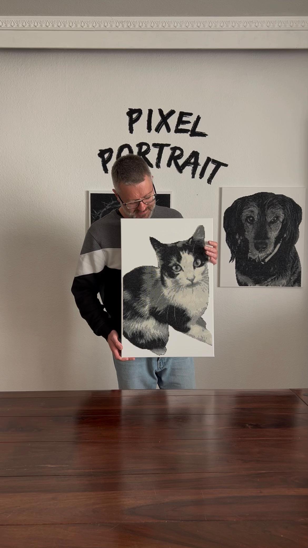 @pixelportrait