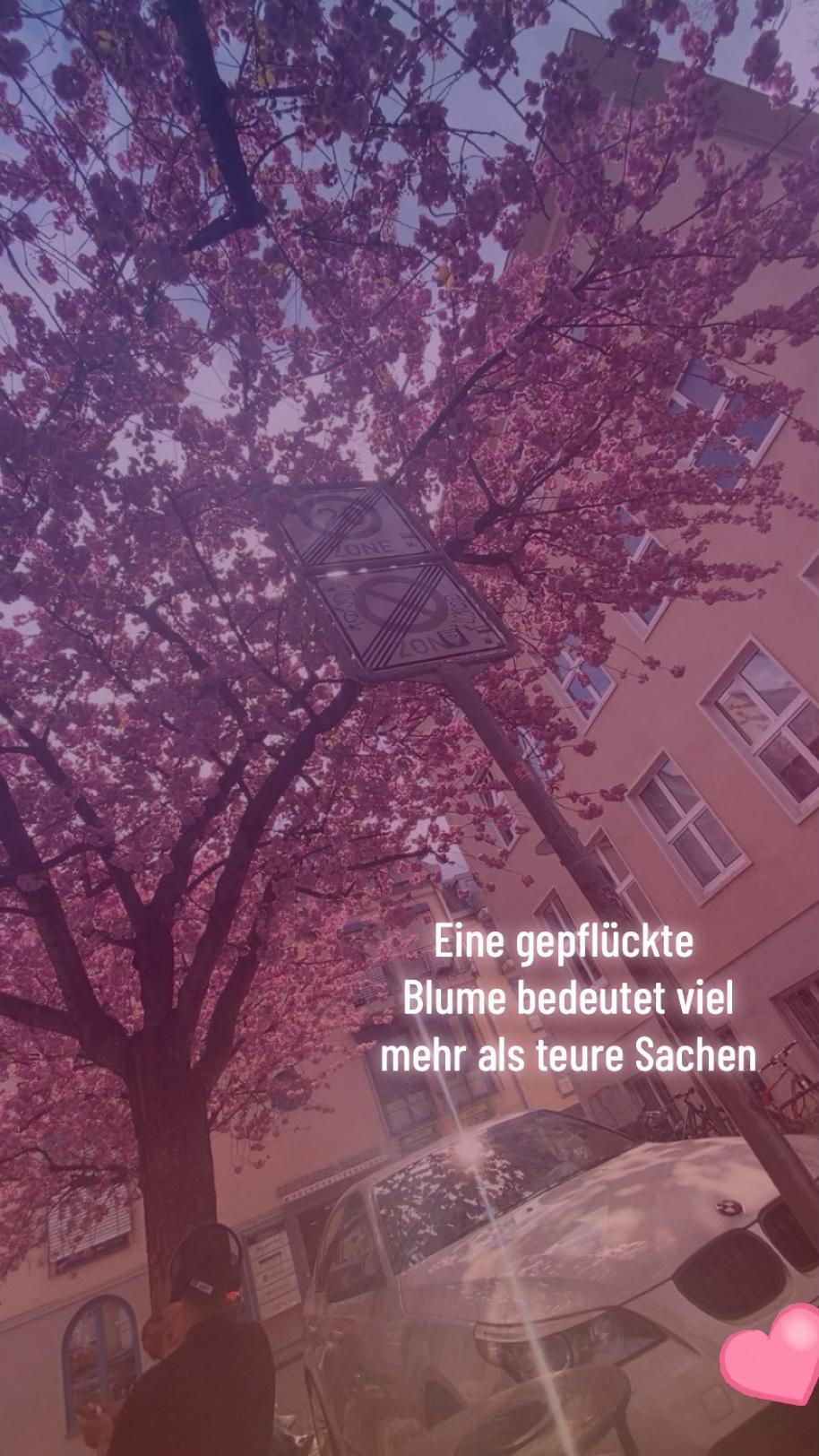 @𝓐7𝓵𝓪.𝓴𝓾𝓻𝓭𝓲𝓷🚥