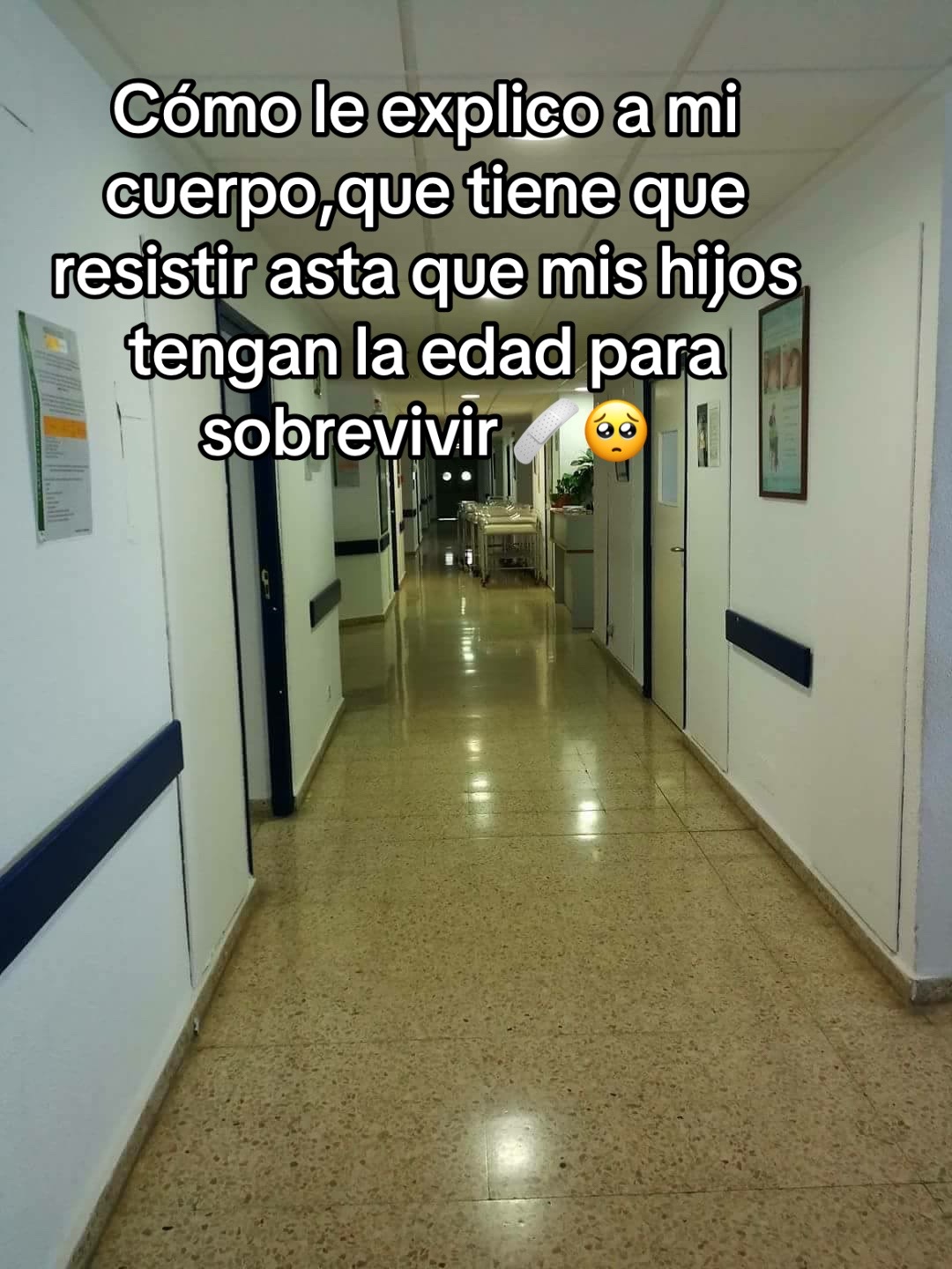 @(🦋🦋)