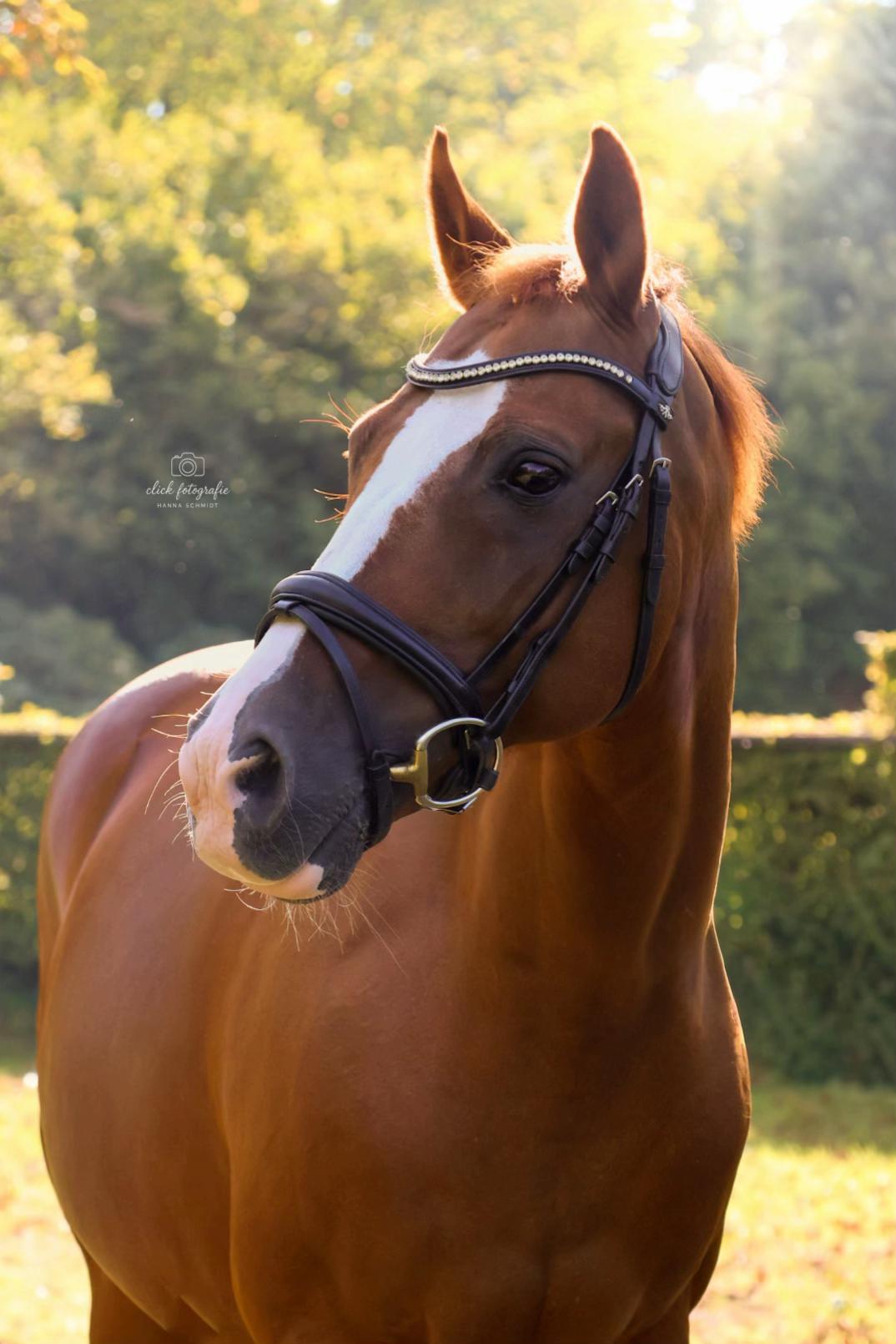 @Click Fotografie 💗✨