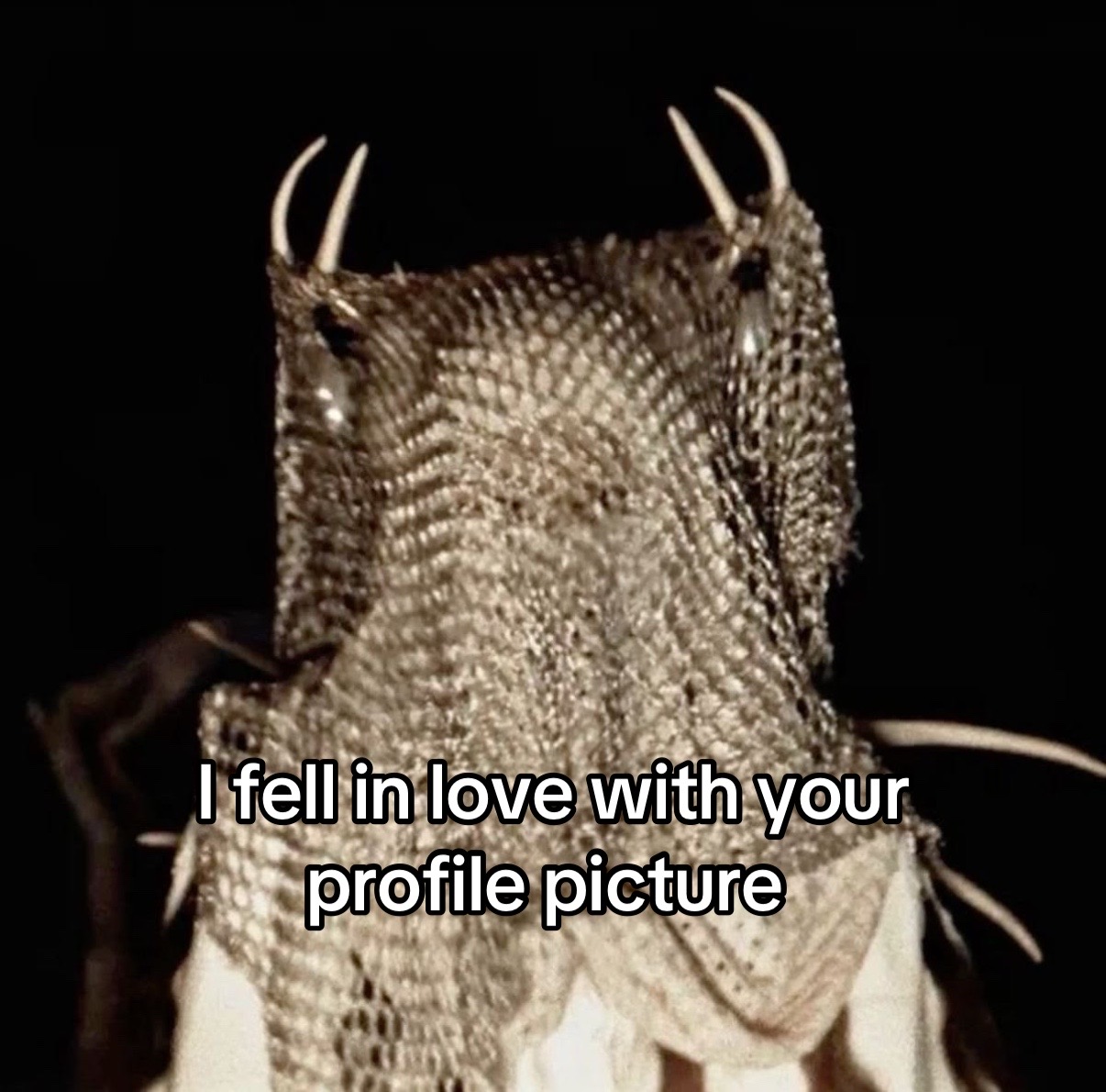 @Finney 🦌