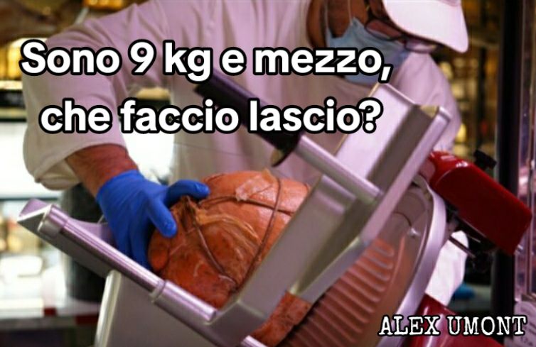 @Alex Umont