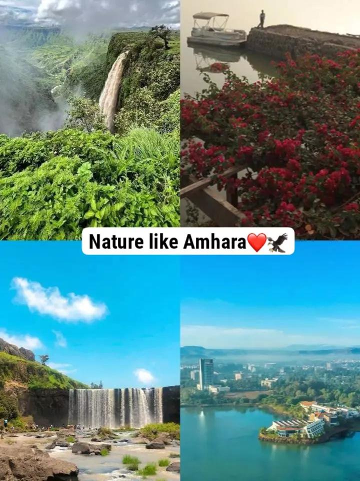 @gual ራያ ራዩማ😍🌾