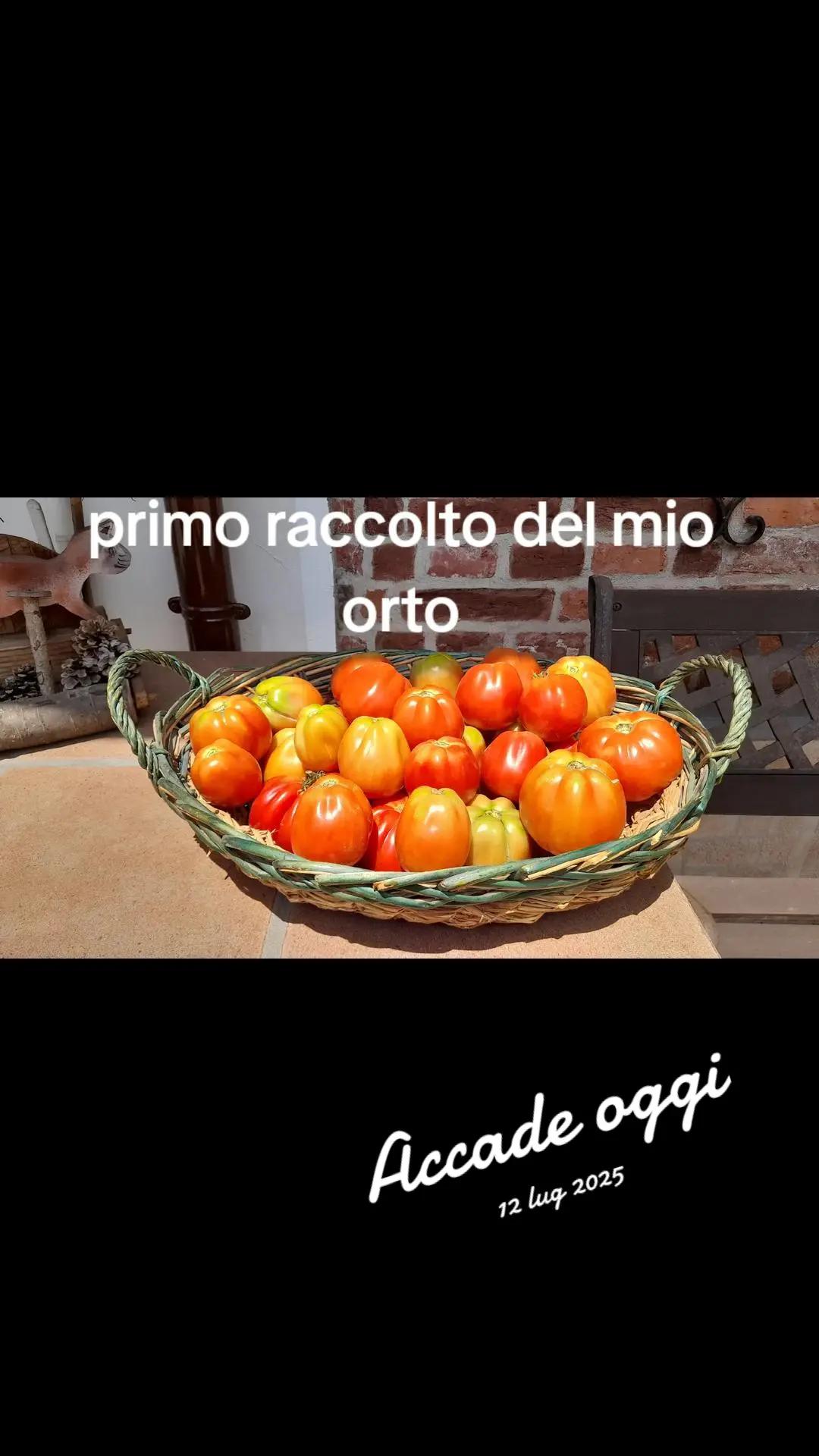@Lomo 54