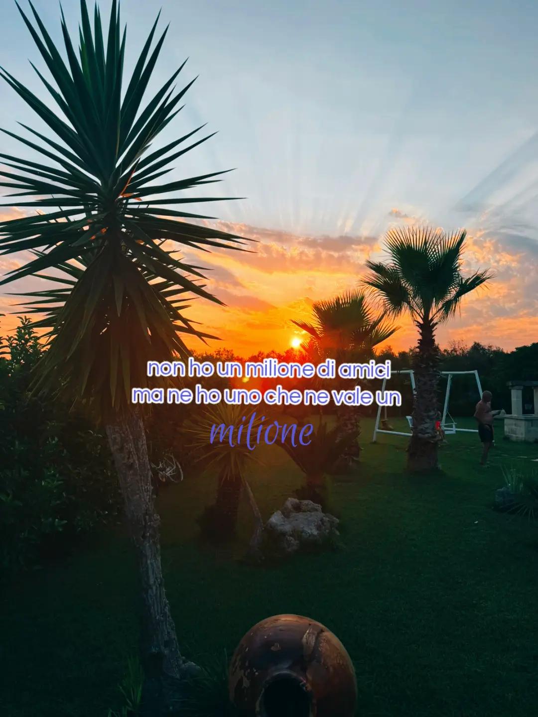 @14.02.26🩷