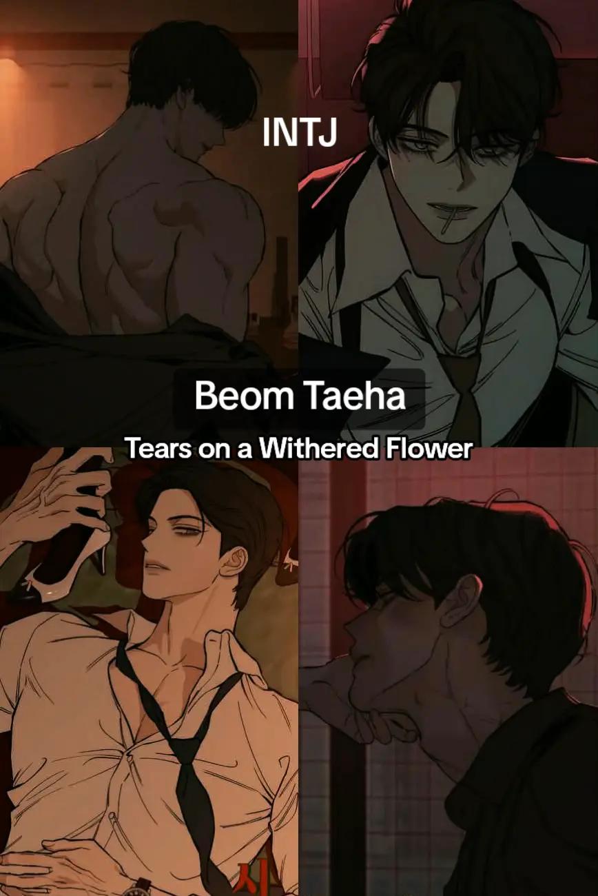 @ｐｅｒｓｏｎａ