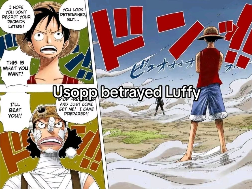 @Mr.Luffy
