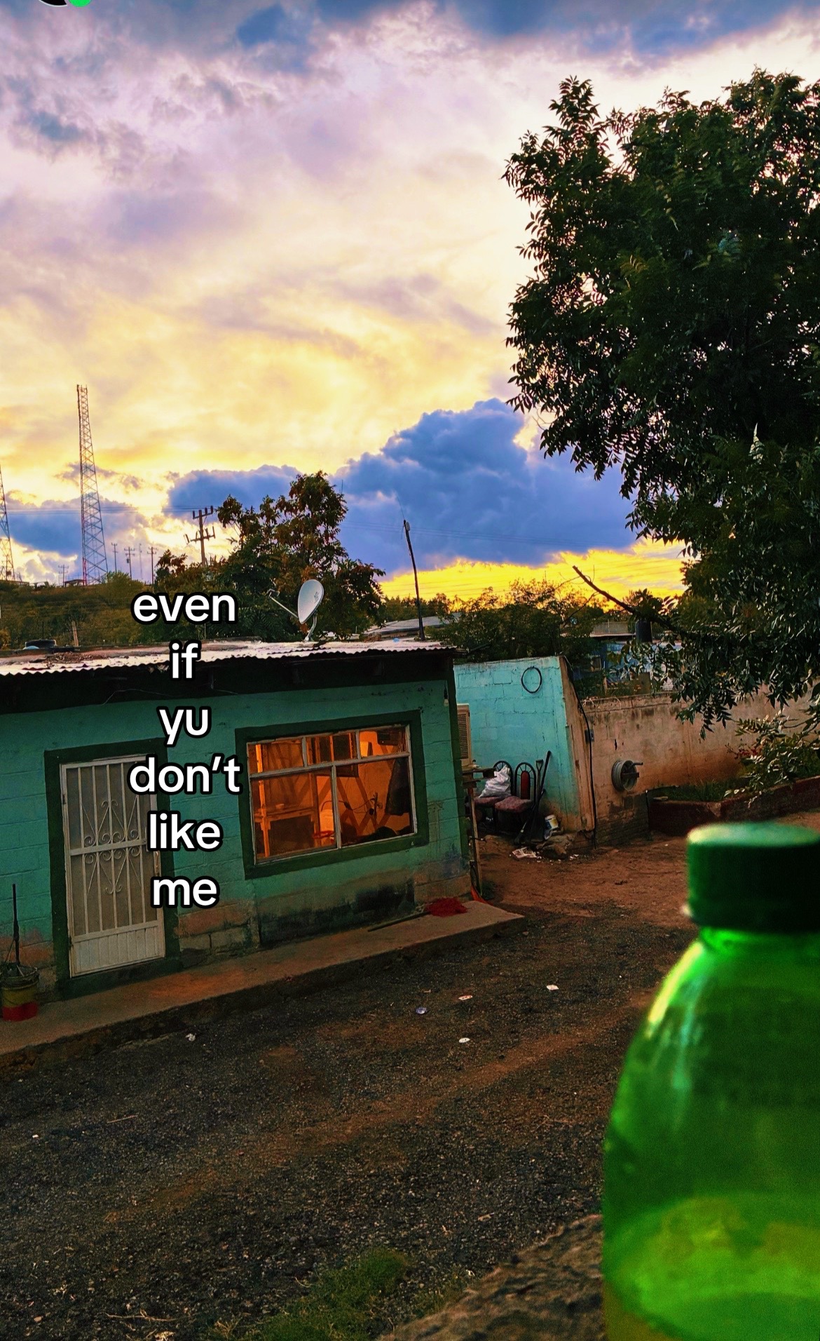 @🦇🌀𝓢𝓸𝓯𝓲𝓪𝓪🌀🦇