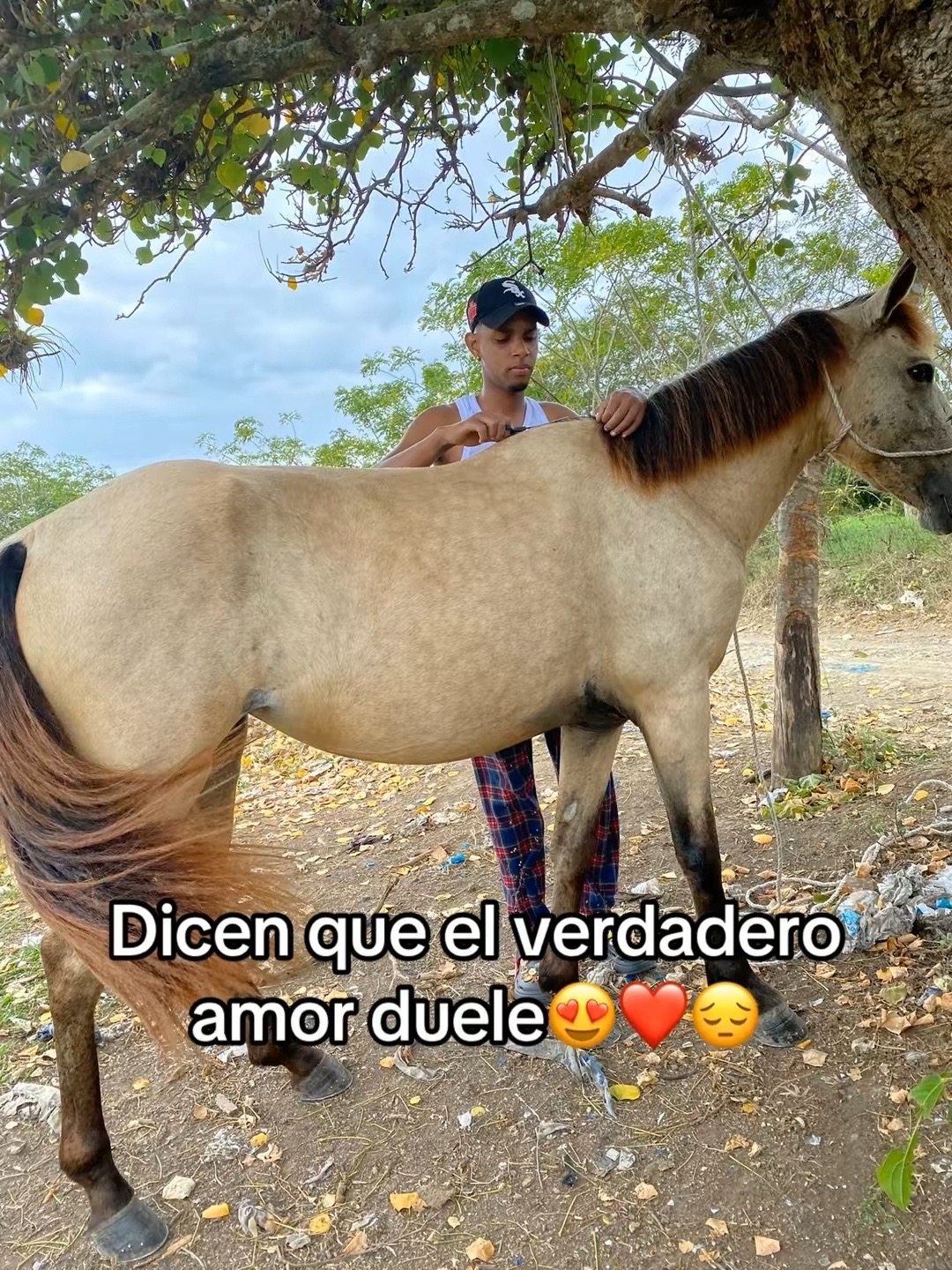 @ariel fortuna 🇩🇴🇺🇸💎💰