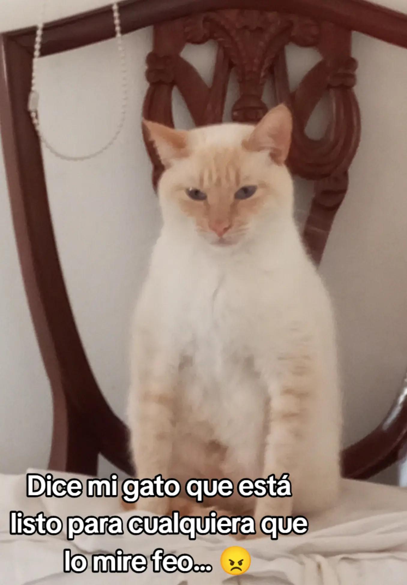 @dana_bernal_penafiel