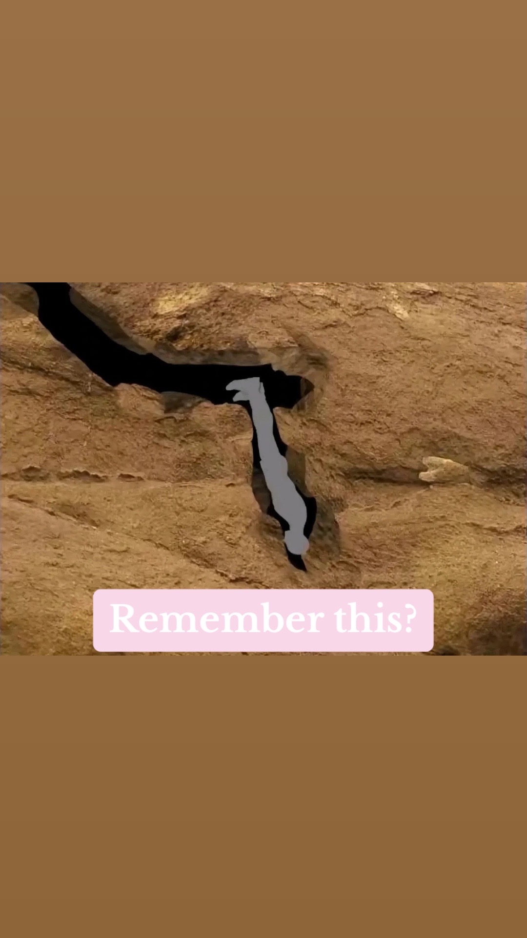 @🩷 Lovesick-acid 🧬