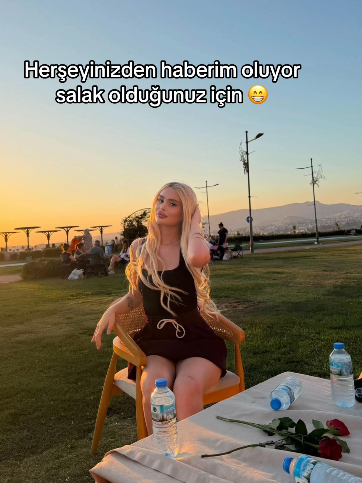 @selensusevis