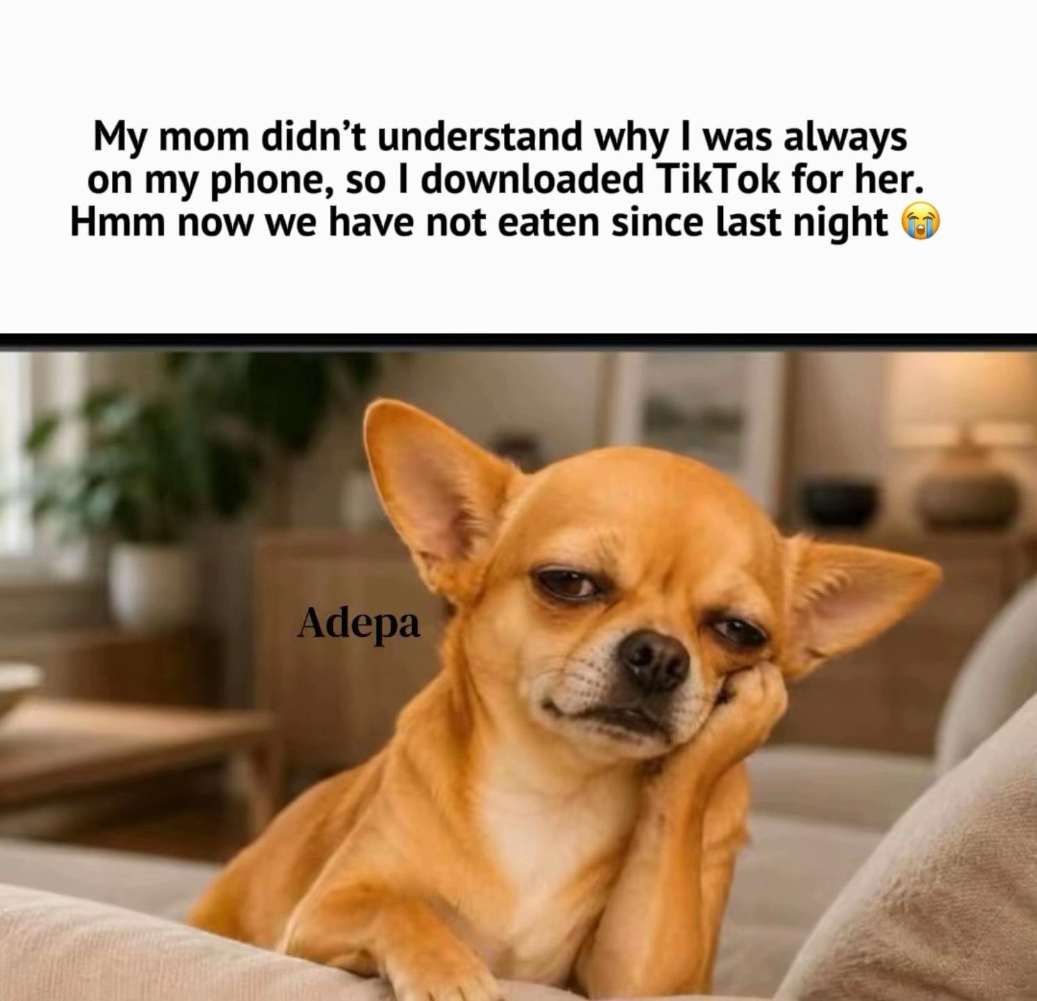 @Adepa