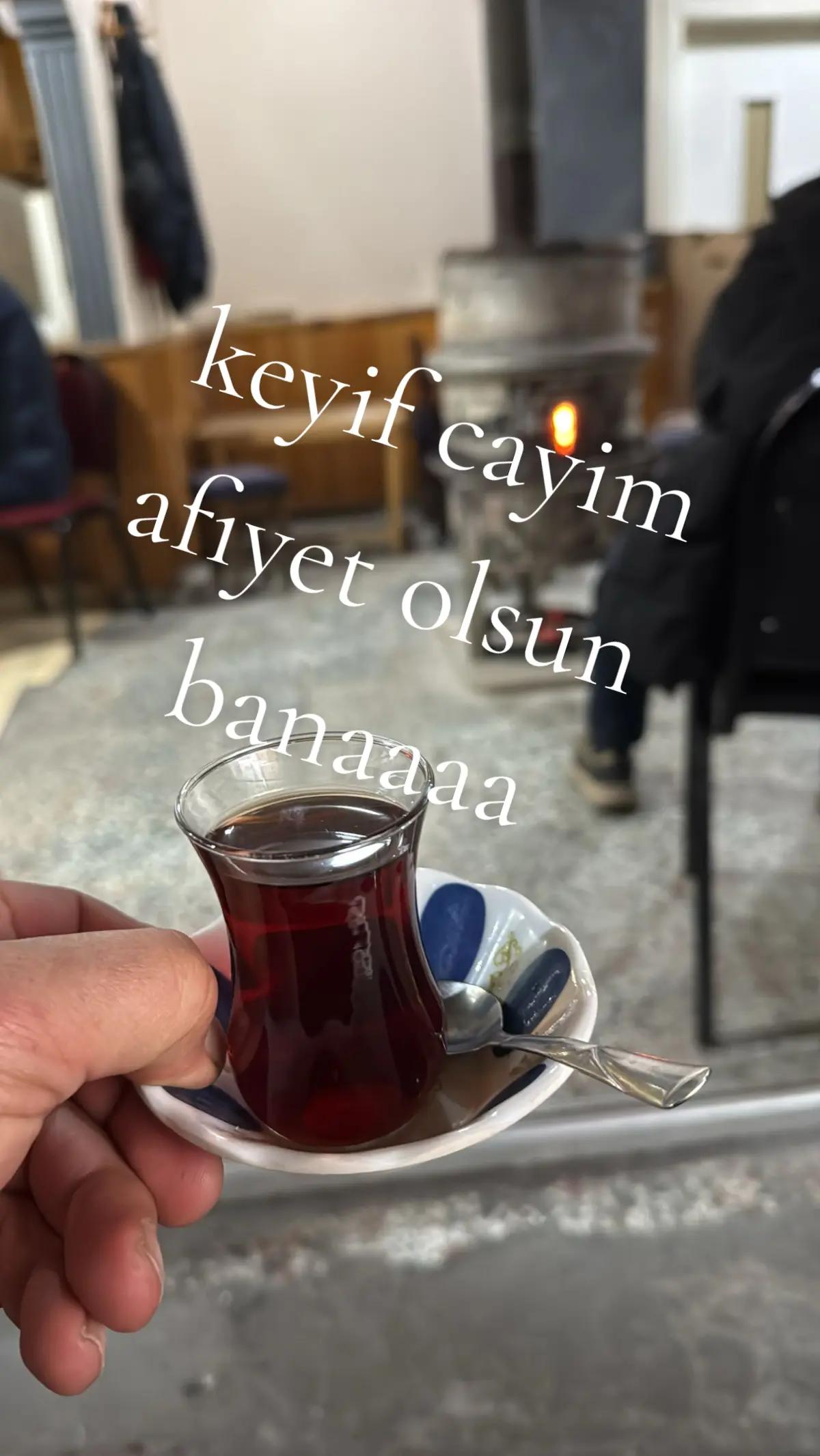 @🇹🇷Brad Gonyali Pitt🇩🇪