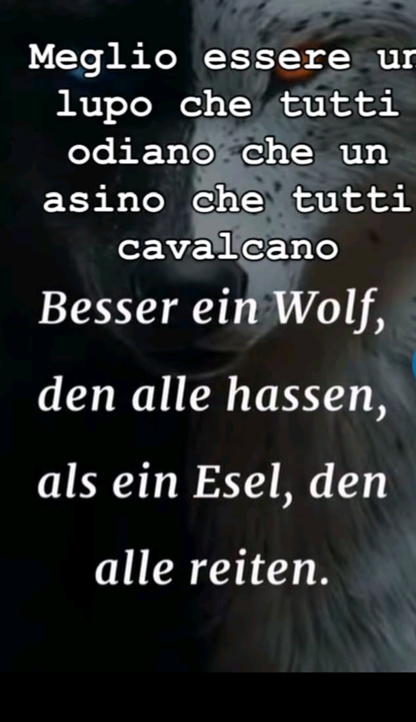 @Carme