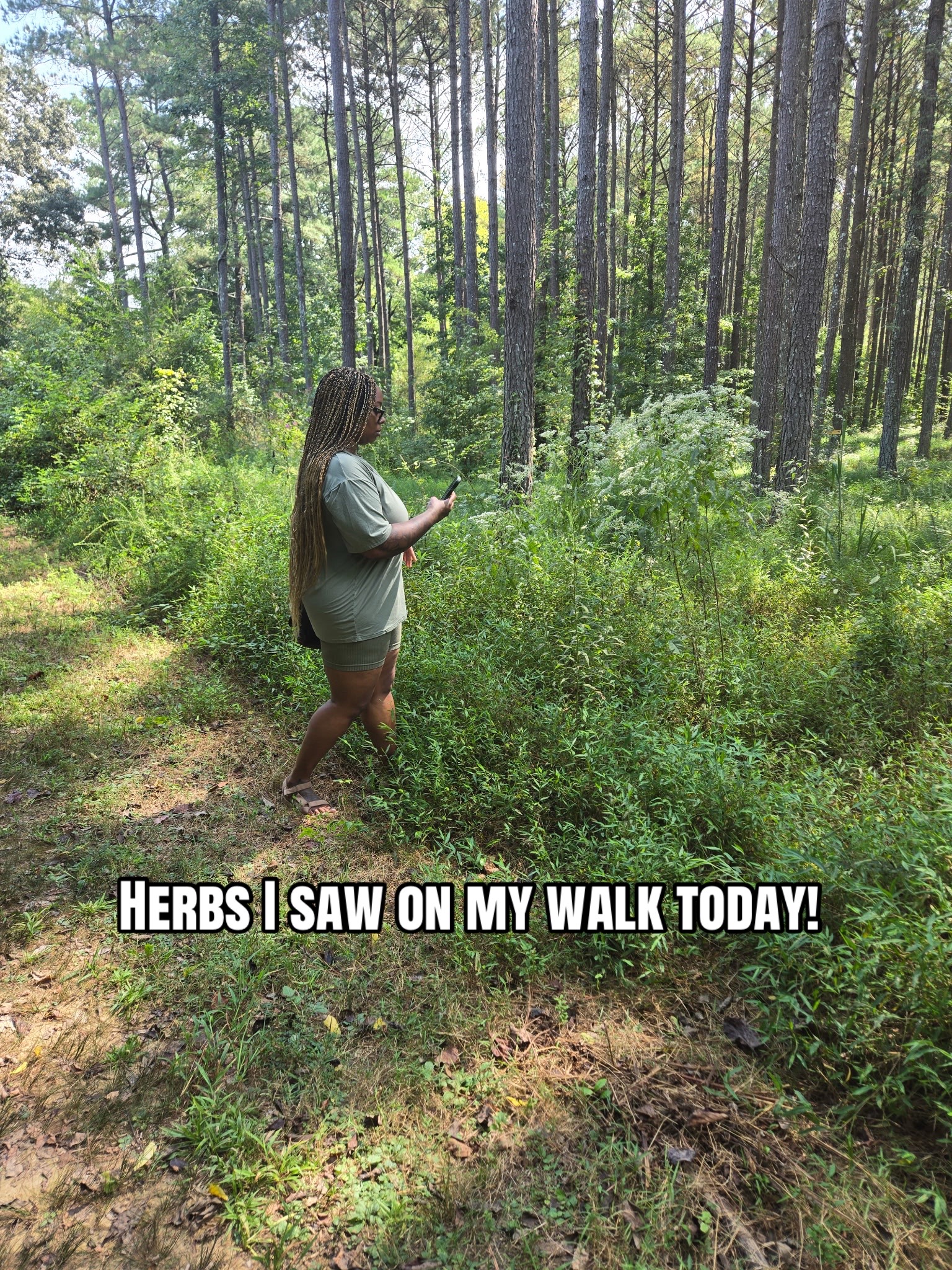 @Essencetheherbalist
