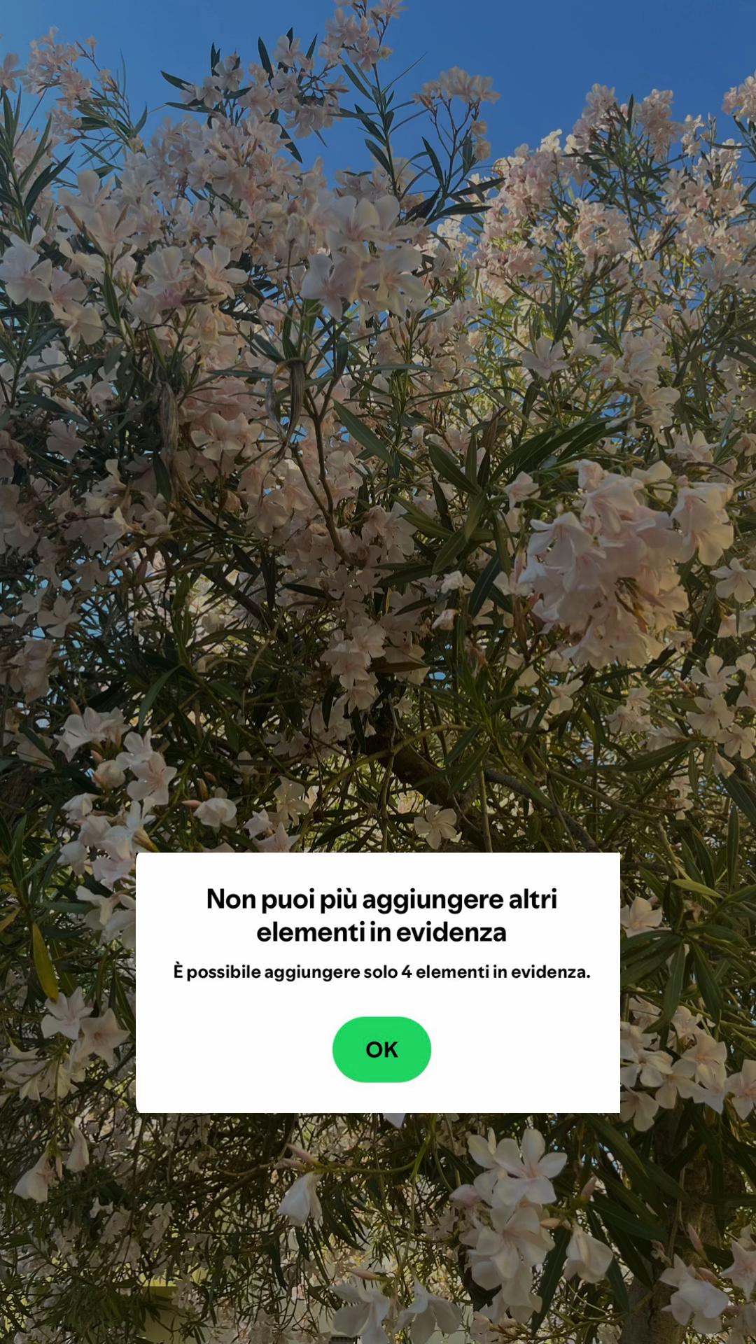 @lucacxz7