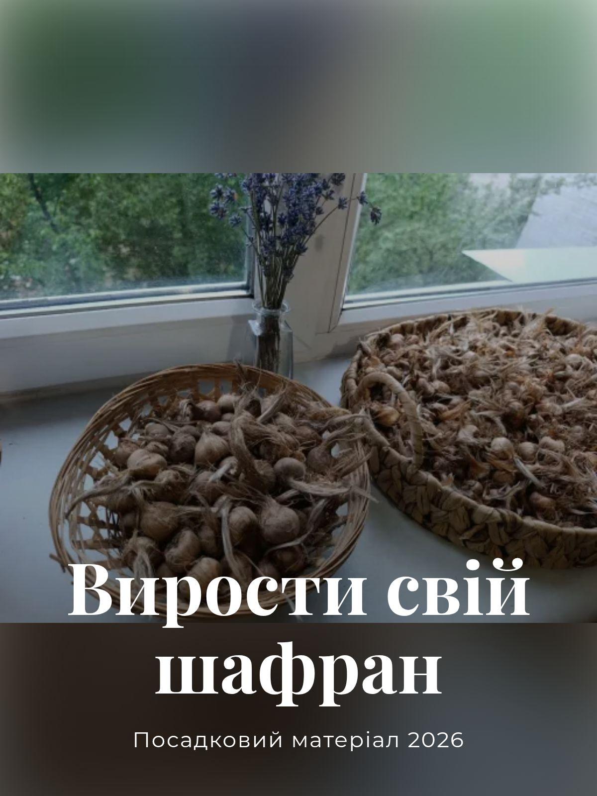 @Олег