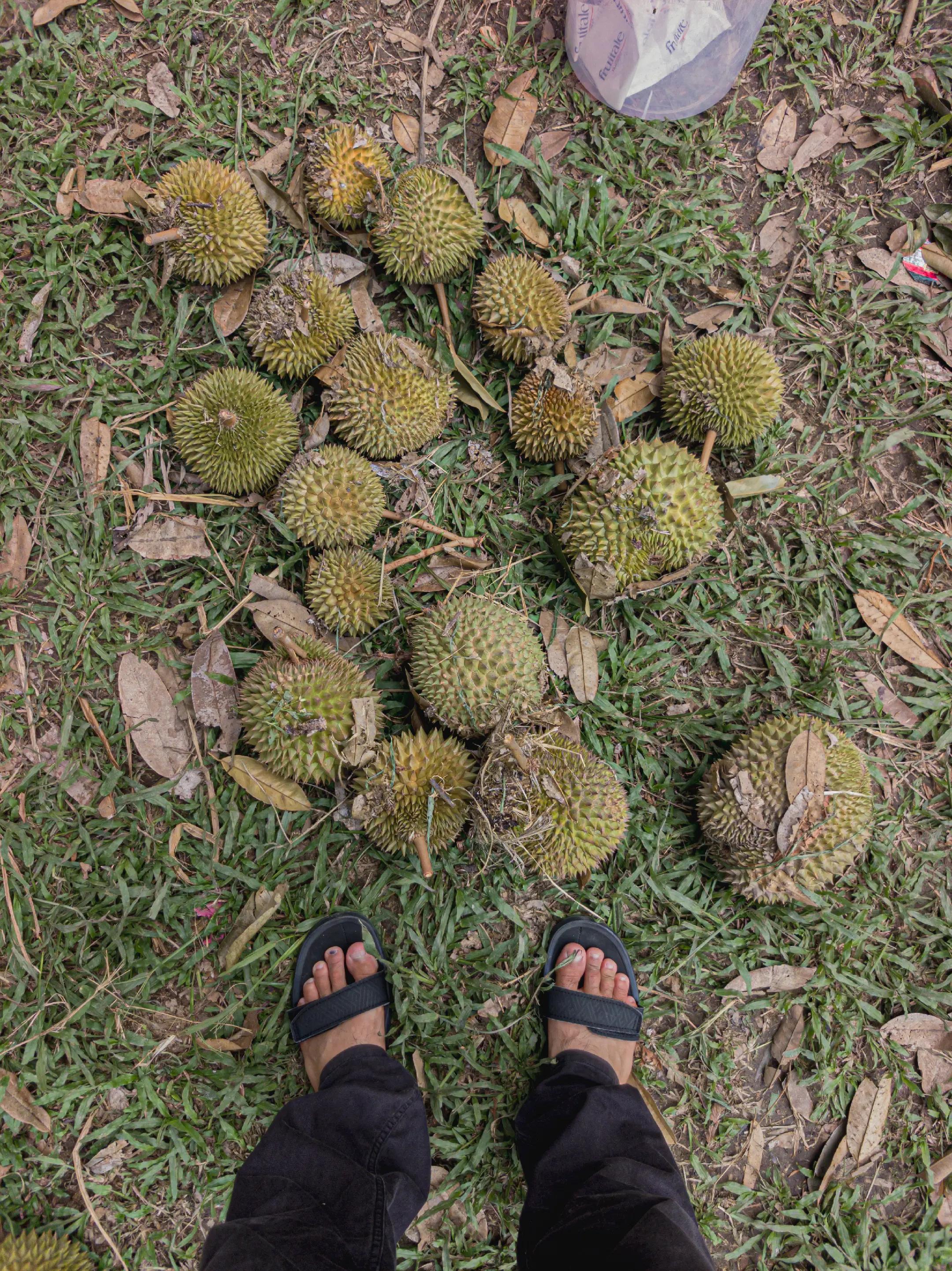 @Sepet