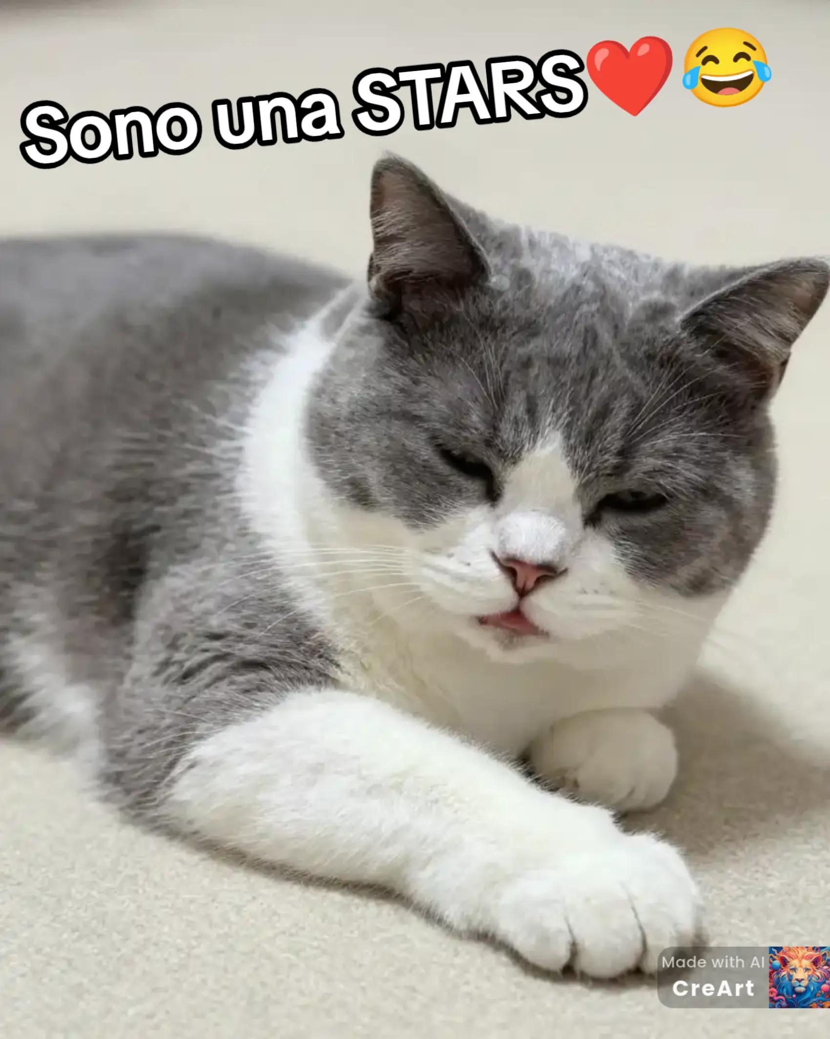 @Fontanella Nicoletta
