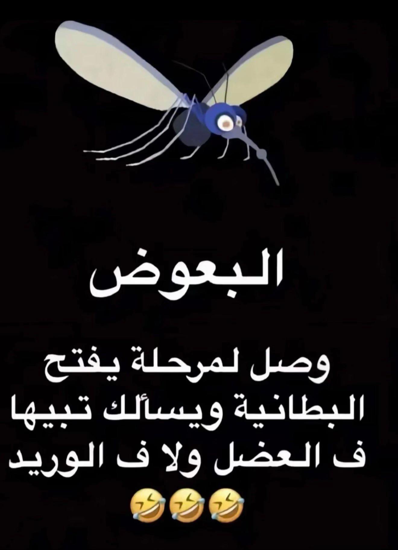 @مواصل🇸🇦