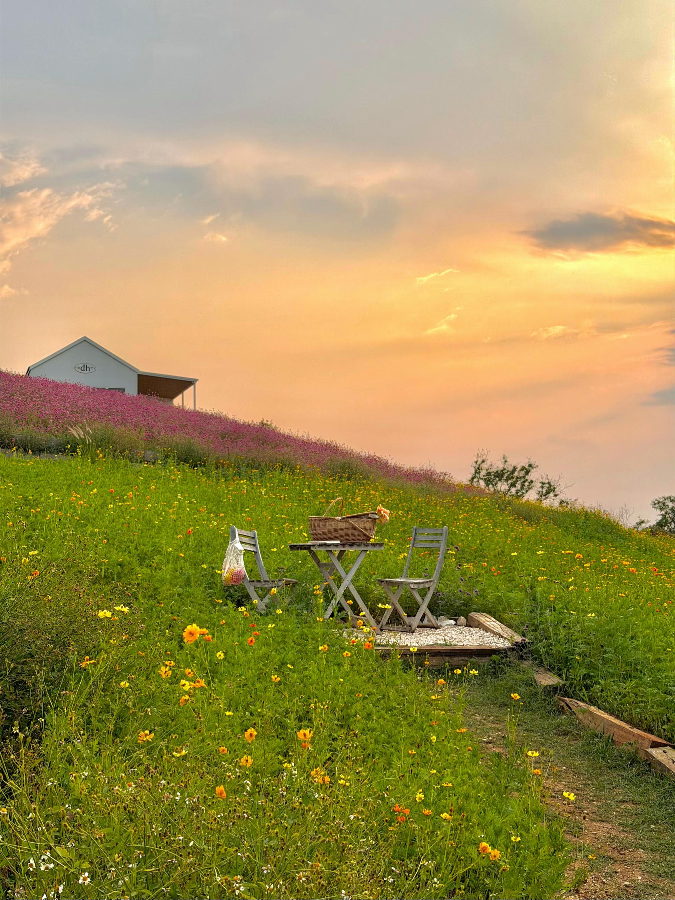@donghousekhaoyai
