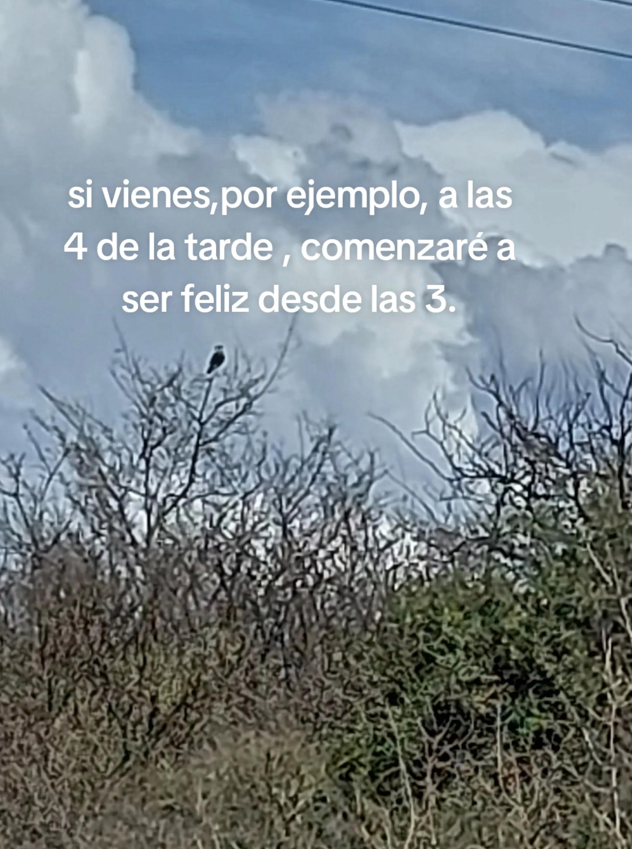 @normita