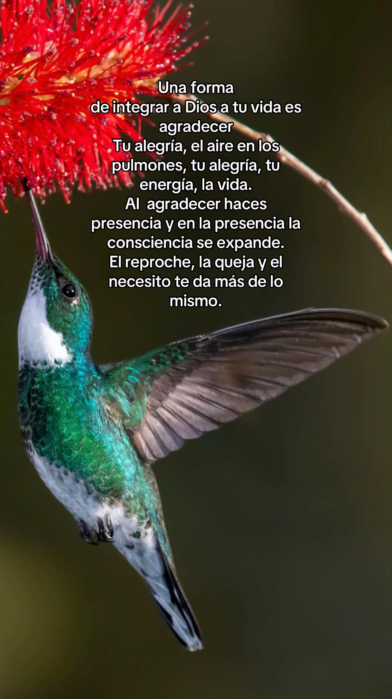 @Carlos_Ivan