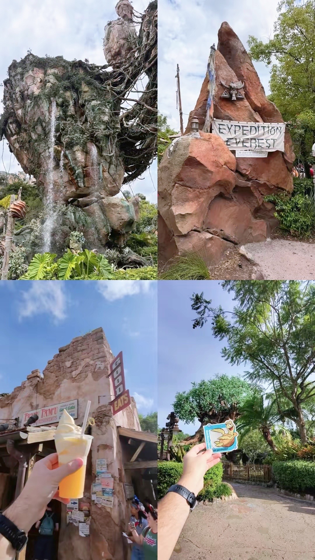 @Billy | Disney Dad Travels ๐ฐ