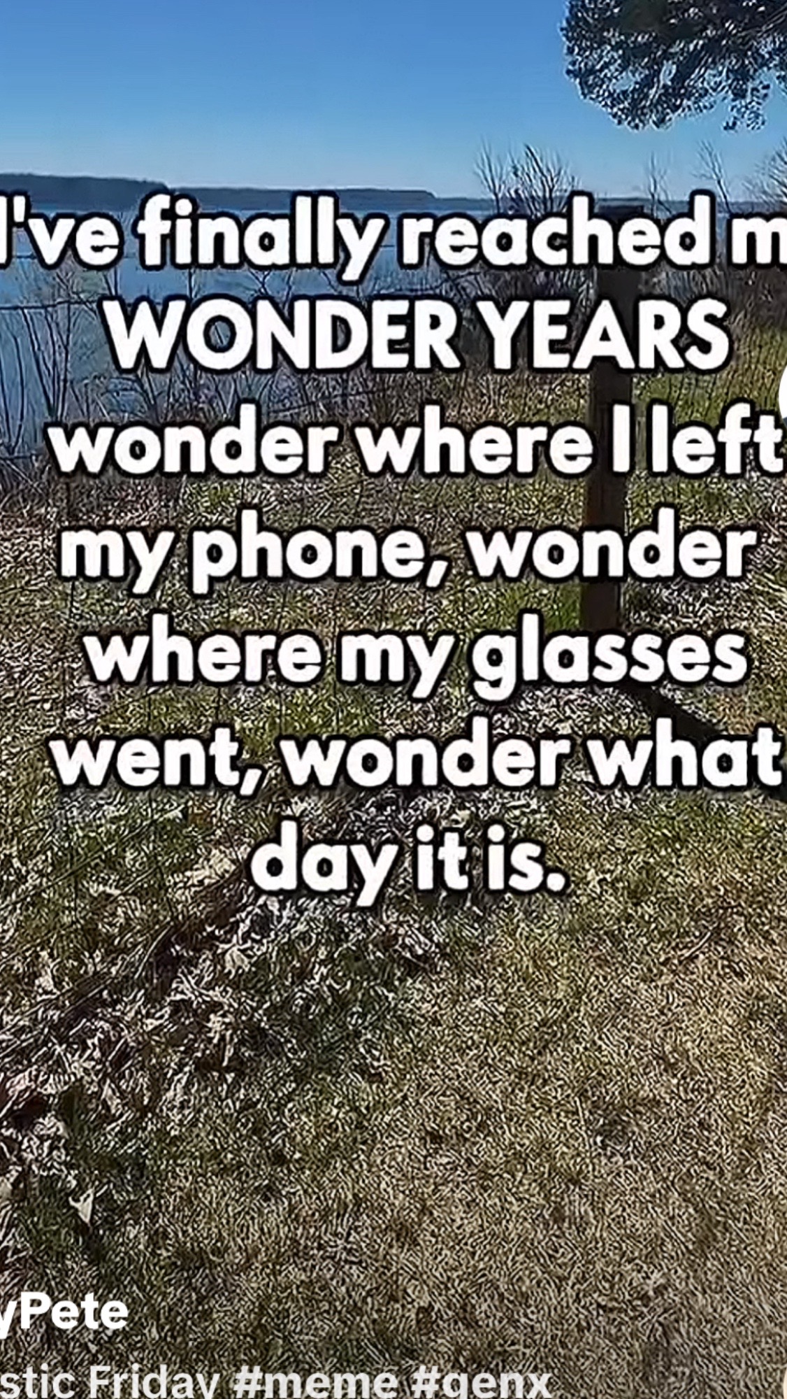 @Randy 278
