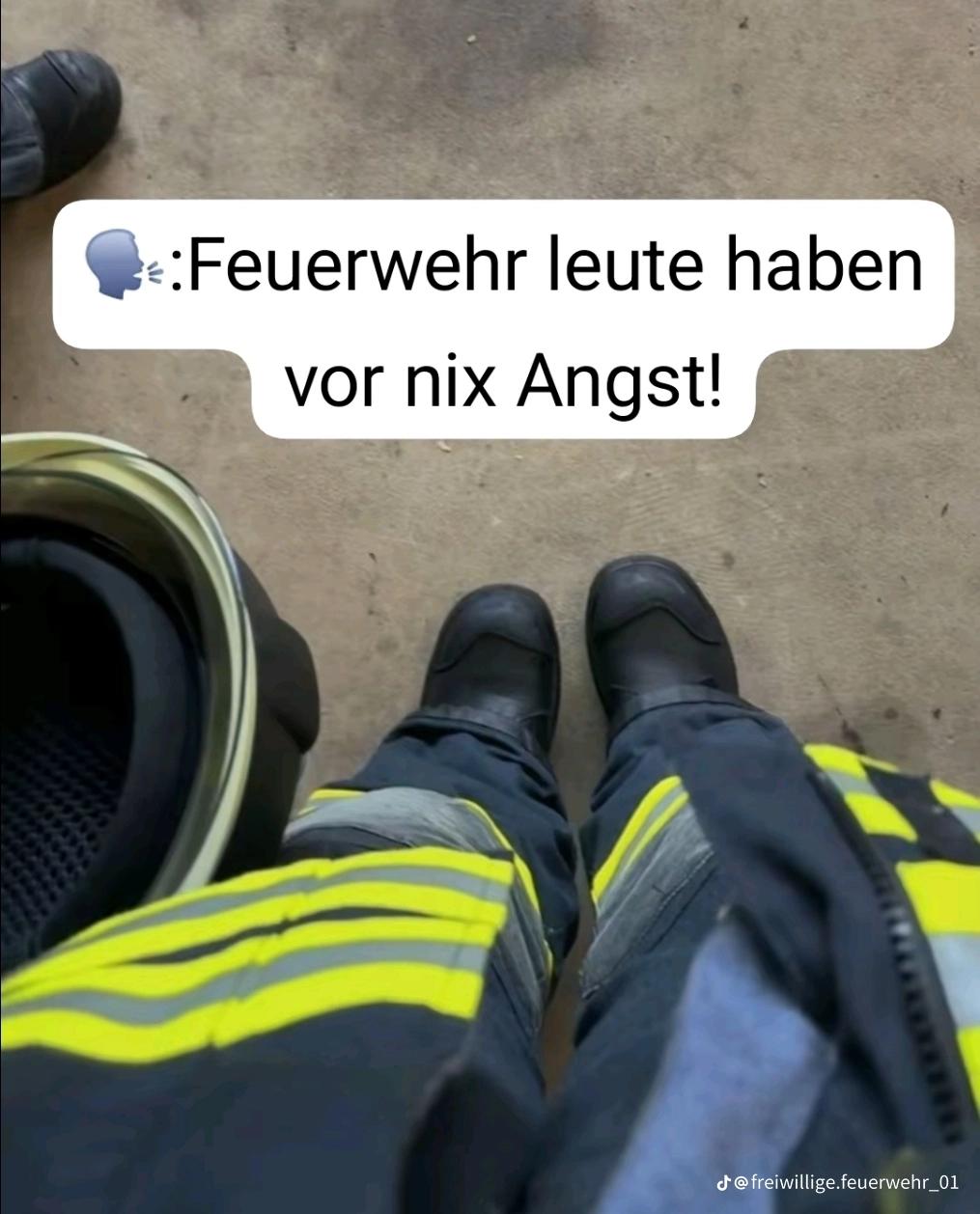 @kleiner Kampfzwerg 🤭❤️