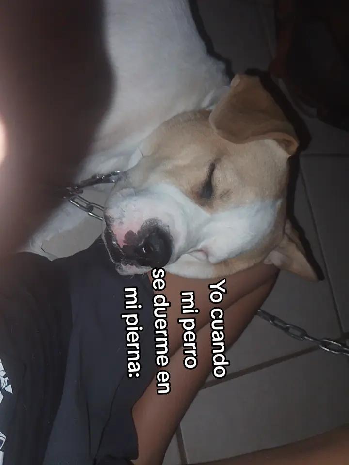 @:v